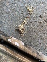 IMG_9464.jpeg IMG_9464.jpeg