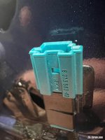IMG_4409.jpeg