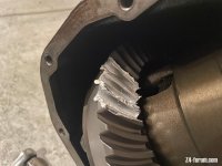 IMG_1861.jpeg