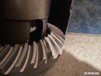 IMG_1862.jpeg