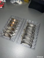 IMG_3431.jpeg