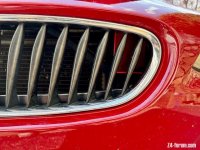 IMG_4936.jpeg