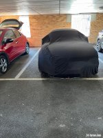 IMG_3041.jpeg IMG_3041.jpeg