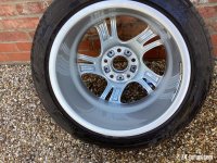 IMG_7697.jpeg