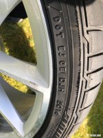 IMG_2369.jpeg
