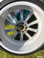 IMG_2367.jpeg