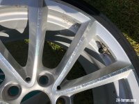 IMG_2364.jpeg