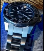 IMG_4431.jpeg