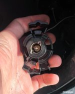 IMG_8616.jpeg