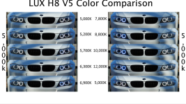 IMG_3851.PNG
