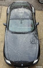 z4.jpg