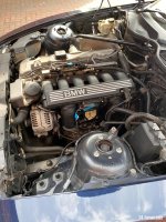 IMG_9577.jpeg IMG_9577.jpeg