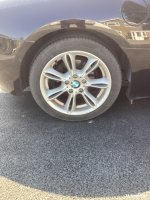 IMG_1135.jpeg