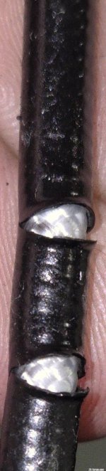 E89-2.jpg