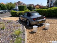 IMG_3319.jpeg