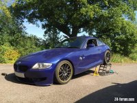 IMG_2176.jpeg