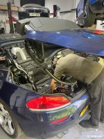 IMG_2767.jpeg