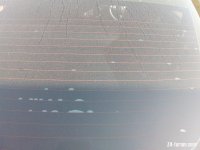IMG_20250429_171323.jpg