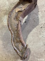 IMG_2295.jpeg