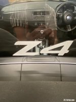 IMG_2143.jpeg