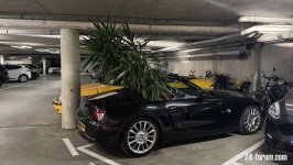IMG_4720.jpeg