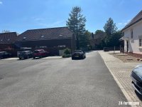 IMG_4069.jpeg