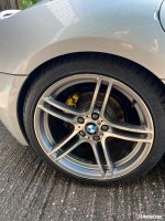 IMG_8153.jpeg