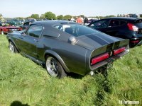 Mustang Fastback.jpg