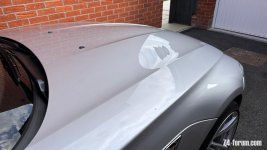IMG_4923.jpeg