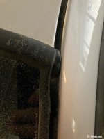 IMG_8946.jpeg IMG_8946.jpeg