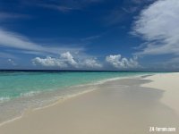 IMG_5860.jpeg