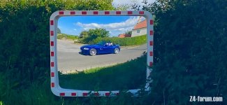 IMG_4961.jpeg