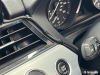 IMG_1067.jpeg