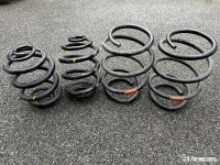 IMG_6554.jpeg
