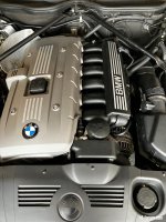 IMG_4634.jpeg