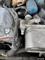 IMG_7062.jpeg