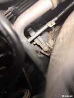 IMG_5322.jpeg