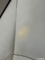 IMG_4184.jpeg