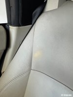 IMG_4181.jpeg