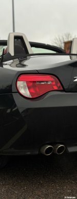 IMG_2529.jpeg IMG_2529.jpeg