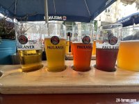 IMG_6294.jpeg