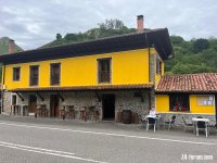 IMG_1109.jpeg