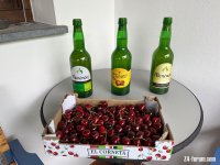 IMG_1100.jpeg