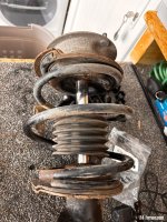 IMG_5413.jpeg