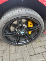 IMG_0479.jpeg