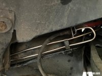 IMG_3524.jpeg