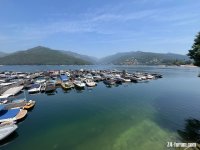 IMG_1203.jpeg