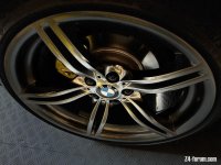 IMG_3716.jpeg