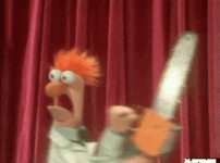 IMG_0223.gif