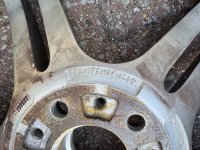 IMG_0672.jpeg